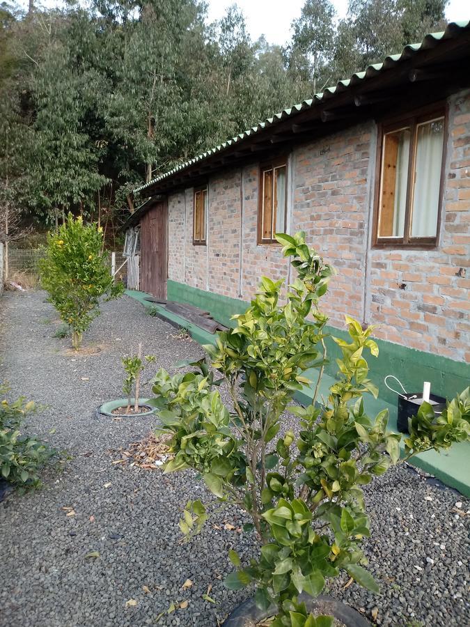 Casa Aconchegante Em Urubici Villa Eksteriør bilde