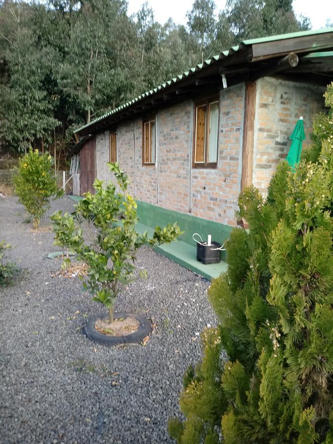 Casa Aconchegante Em Urubici Villa Eksteriør bilde